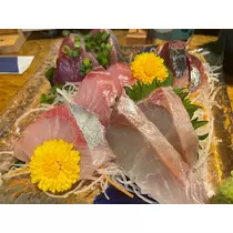式波 ツバサ