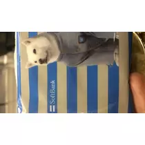もも