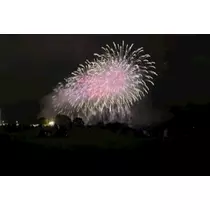 香川 ゆい