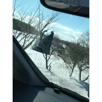 蓮見 リア