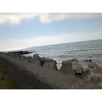 宝條 夏恋