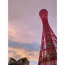 えりか