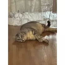 るな