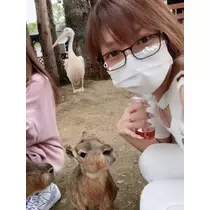 夏樹 あや