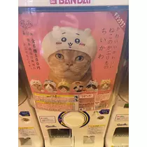 華宮 れい