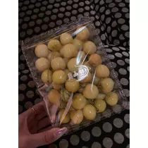 白石 愛莉