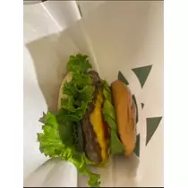 空条 しいな