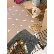 あいら
