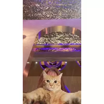 ユウナ