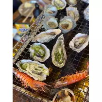 七星 舞冬