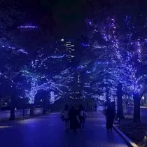 ひじり