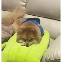 なお