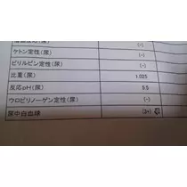 彩