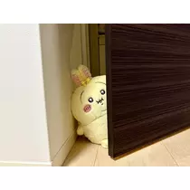 はるせ