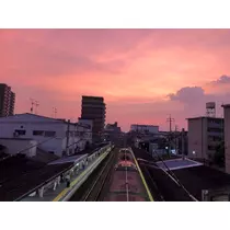あり