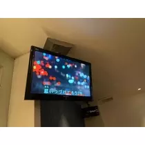 立華 碧