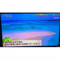 美月