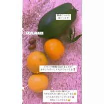 ゆうな