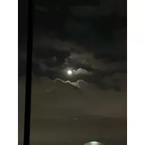 いずみ