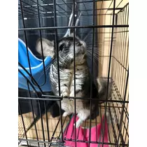 ゆあ