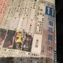 七星 夏純