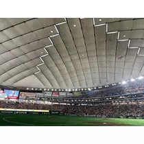さやか