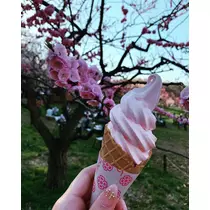 ありす