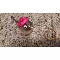 らん