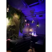 芹沢 莉瀬