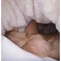 華