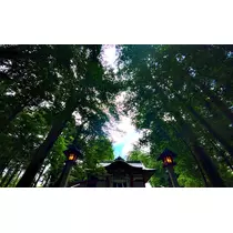 薫
