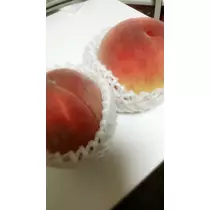 立花 咲