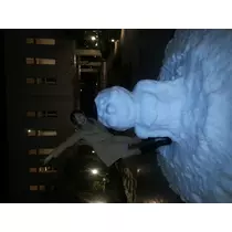 本城 椿