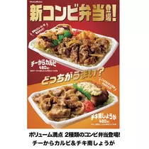 七星 夏純