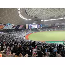 きょうか