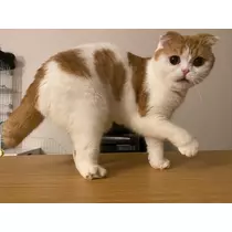 るな