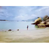 ゆかり