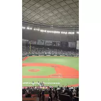 マヤ