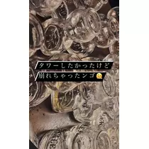 諸葛亮ねる