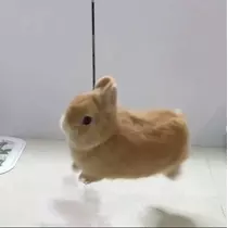 みれい