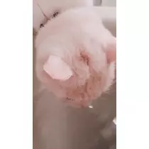 りか