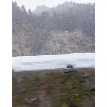 愛羽 仁美