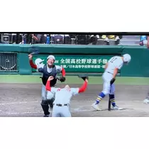 智華