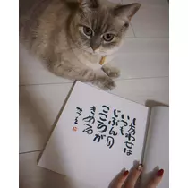 櫛名田 安椰