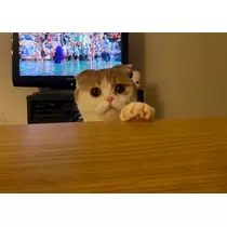 るな