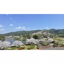 あこ