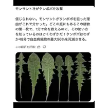 藤本 祐子ママ