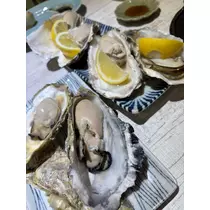 綾瀬 優