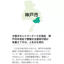 さくら