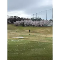 まゆか